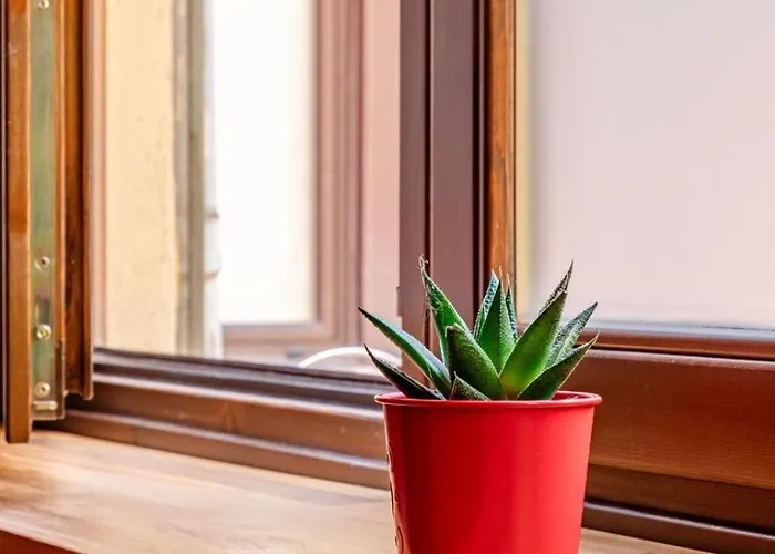 Ex Laboratorio Al Cit